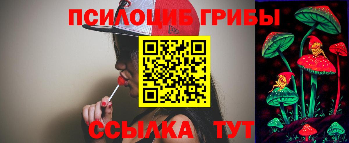 как найти   Вход с VPN  Галлюциногенные грибы MAGIC MUSHROOMS  Аша  Псилоцибиновые грибы MAGIC MUSHROOMS 